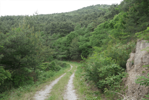 변산반도우금암22