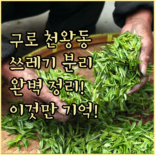 구로구 천왕동 쓰레기 분리배출, 완벽..