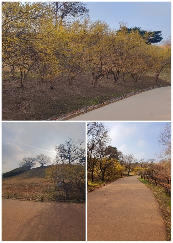 초봄에-산책한-올림픽공원