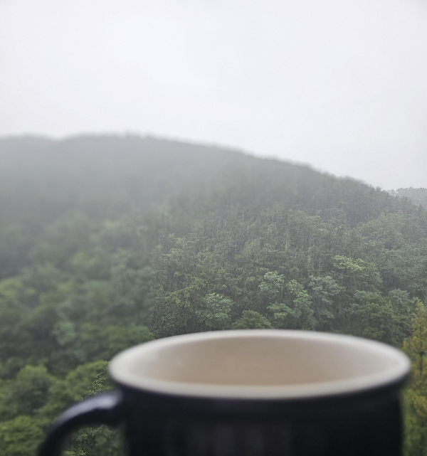 비오는-풍경-산-커피한잔