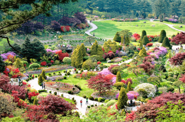 아침고요수목원 정원