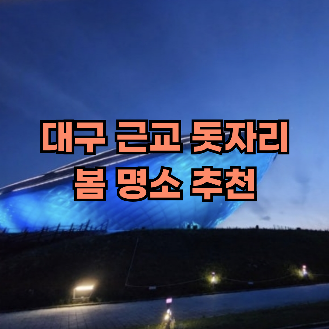 대구 근교 돗자리 봄 명소 추천