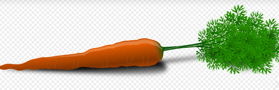 눈에 좋은 음식