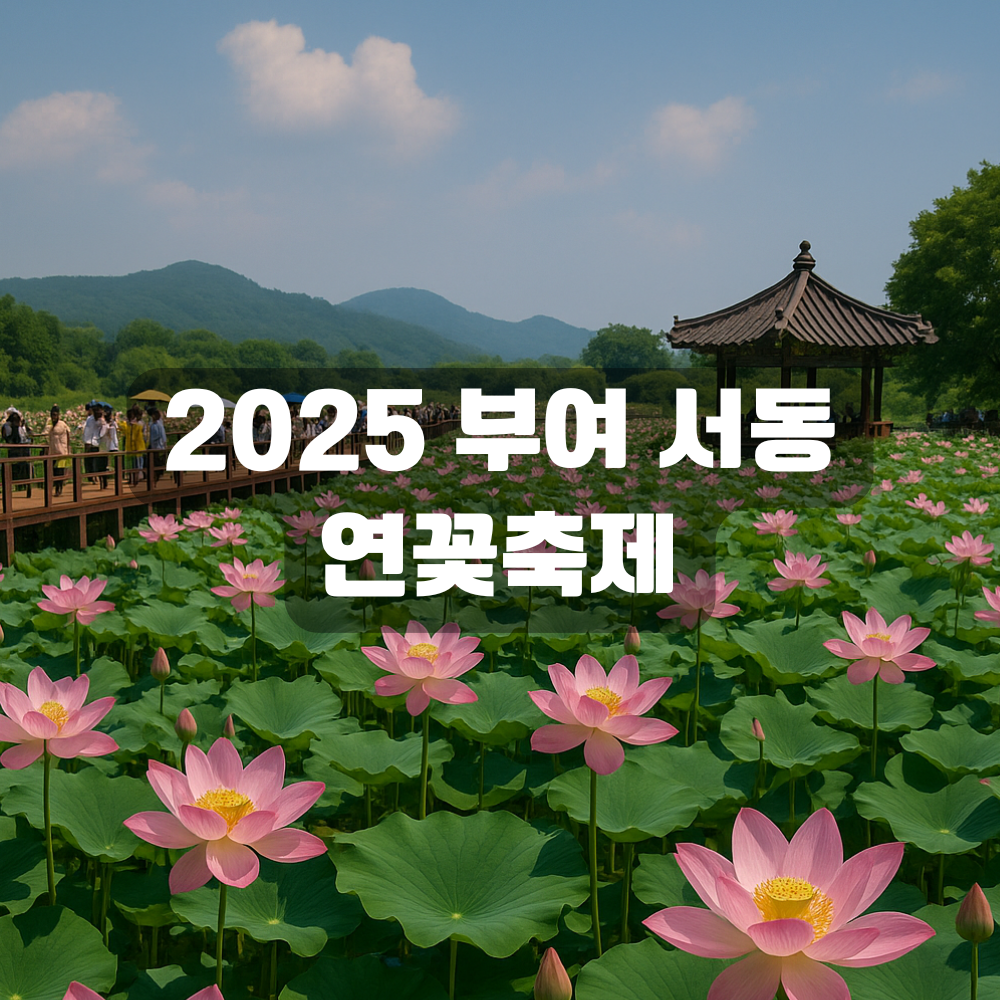 2025 부여 서동 연꽃축제