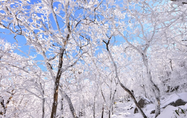 전라도 겨울 트레킹 명소 BEST 5, 남도에서 만나는 고요한 숲길 여행