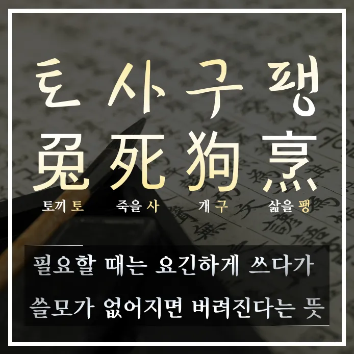 토사구팽 뜻과 5가지 상황별 해석 정리_2