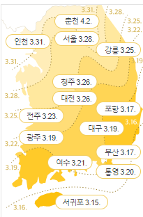 봄꽃 개화시기 2024년
