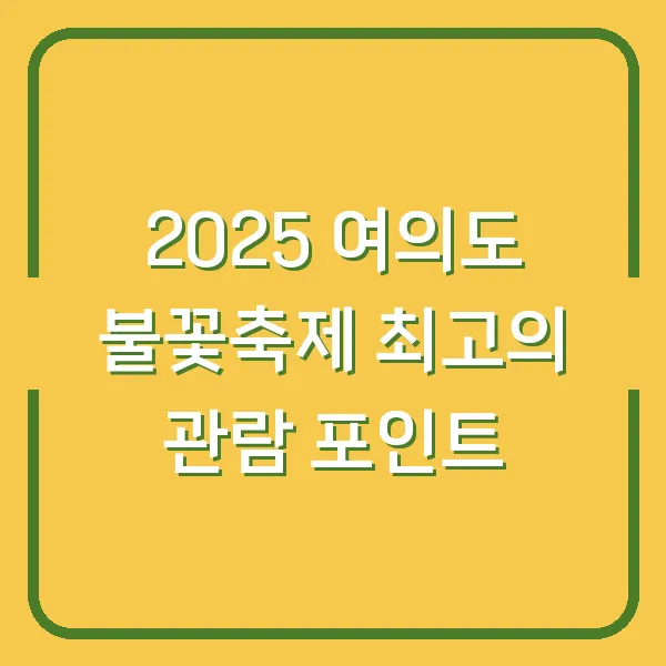 2025 여의도 불꽃축제 최고의 관람 포인트