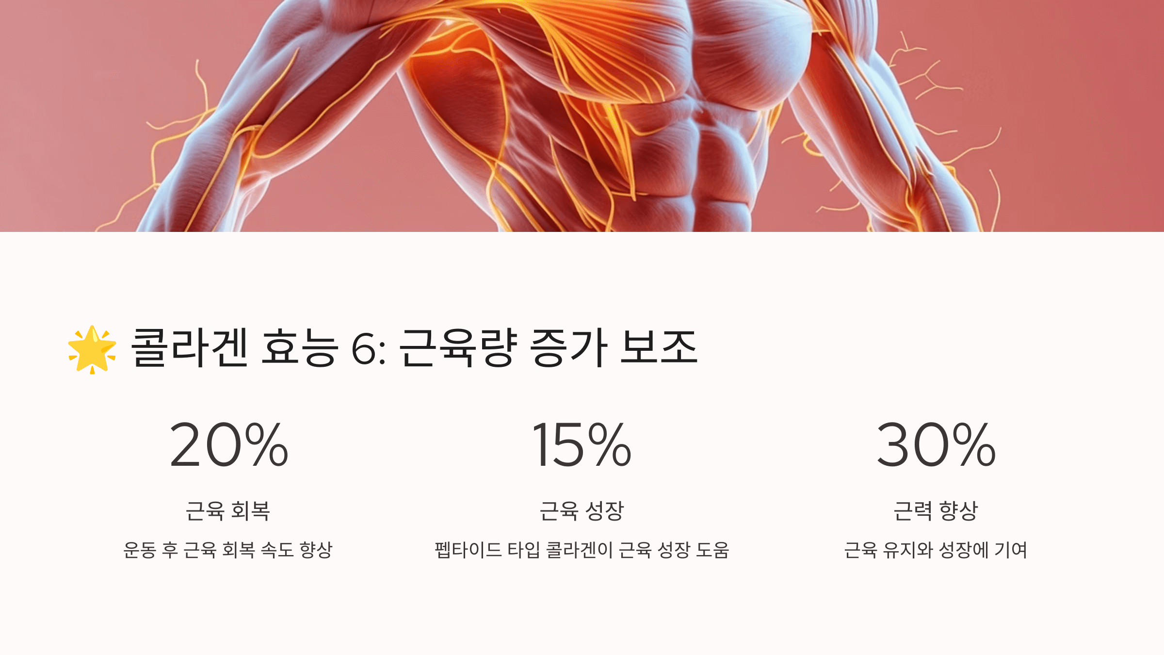 콜라겐과 관련된 사진입니다.
