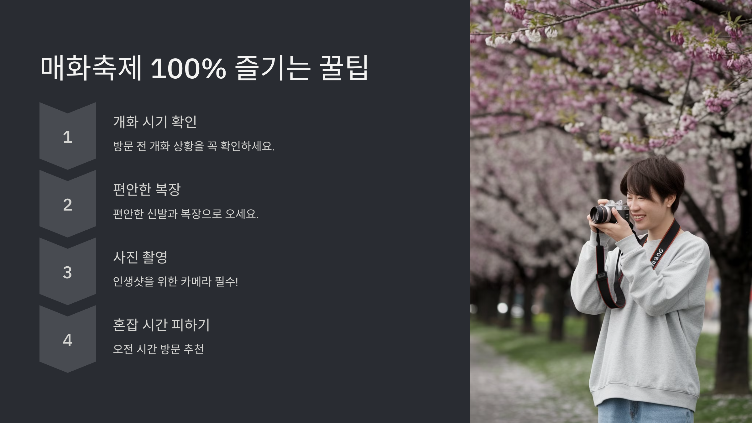 광양 매화축제기간과 즐길 거리