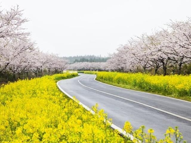 4월제주여행사진