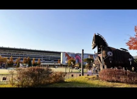 포니랜드 어린이 승마체험