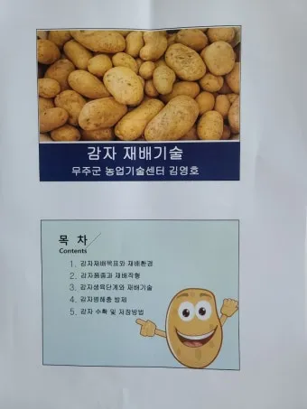 감자 재배 달력 파종 북주기 역병 관리 수확 및 저장_10