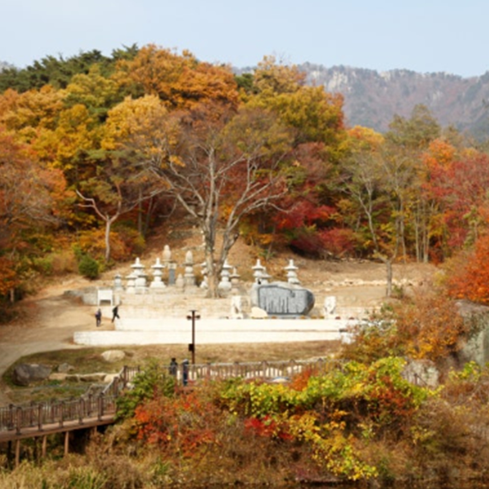 동화사