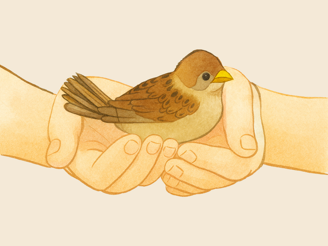 25년 10월 17일 말씀 카드 성경구절 : 한 마리도 하느님께서 잊지 않으신다. (루카 12,6)