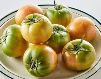 대저토마토 효능 부작용_7