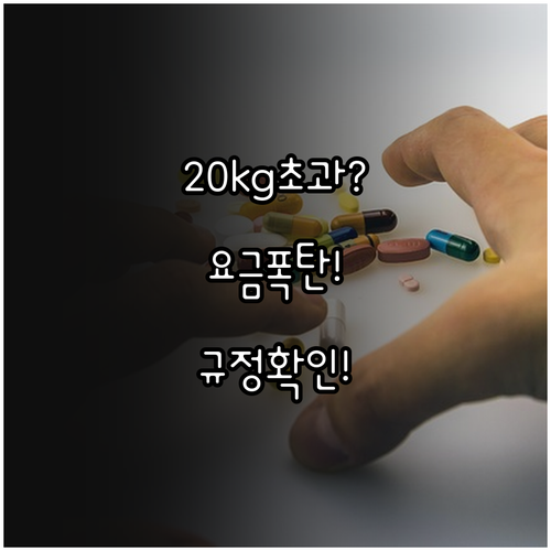 스카이 앙코르 항공 위탁수하물 20k..