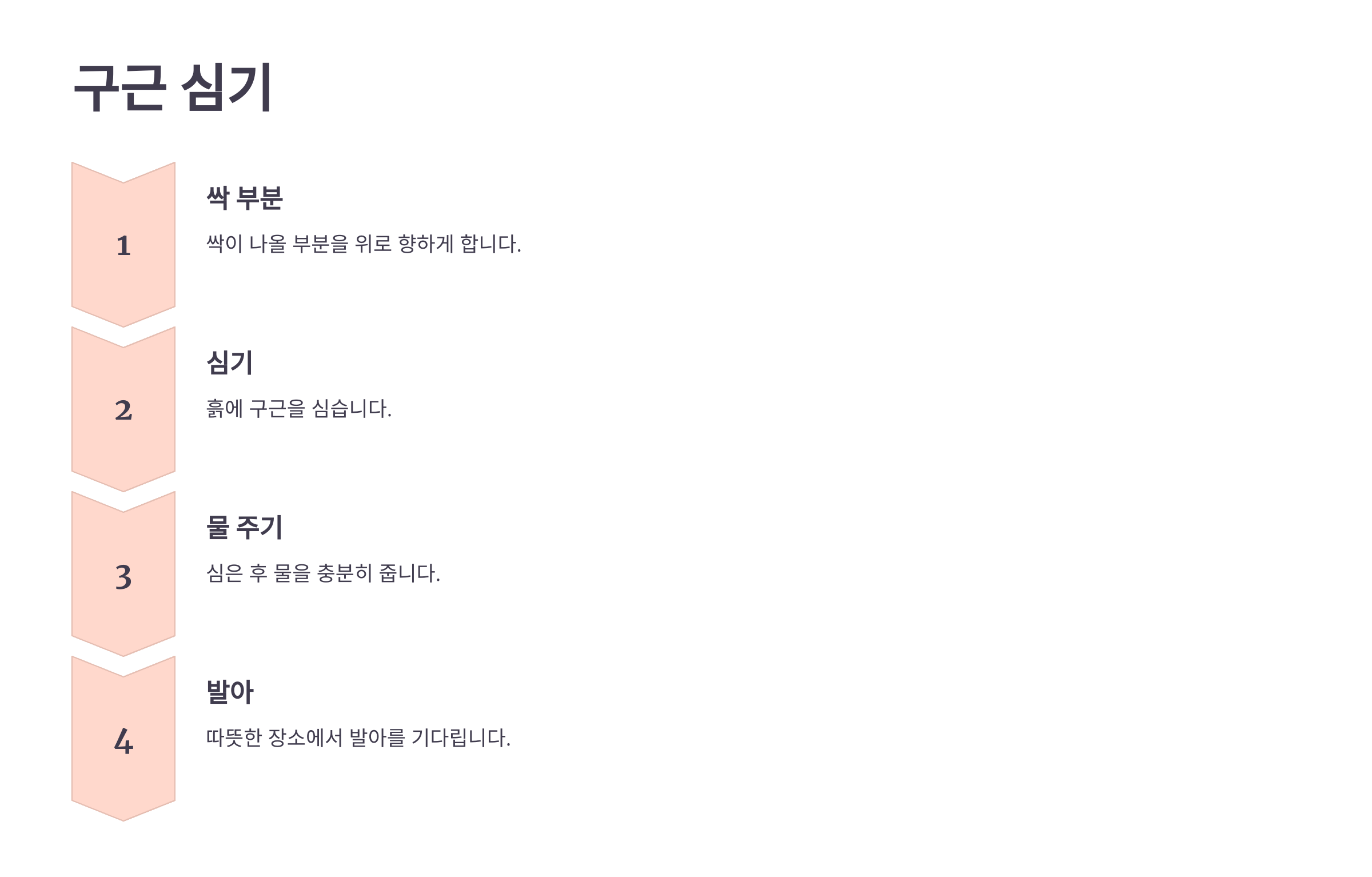 카라꽃 사진입니다.