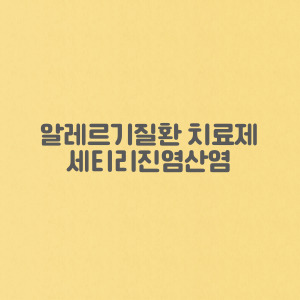 알레르기 약 항히스타민제(+세티리진염산염)기능, 효과, 부작용 복용법