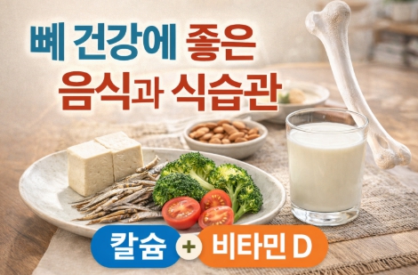 뼈 건강에 도움을 주는 음식들
