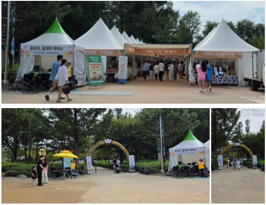 자라섬 (2025 꽃 페스타)