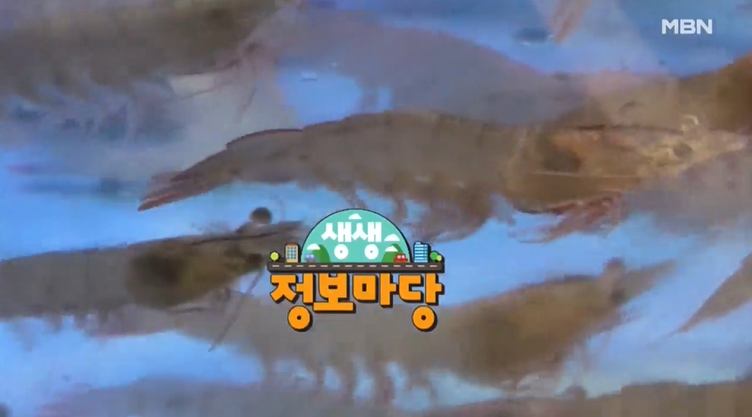 나는 자연산이다 자연산 왕새우 활새우 대하 낚시 선장님과 대하구이 대하찜 새조개 충남 홍성 남당항 맛집 추천