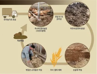 커피찌꺼기 퇴비 활용 비료대체 냄새관리 양조절 안전사용 팁_13