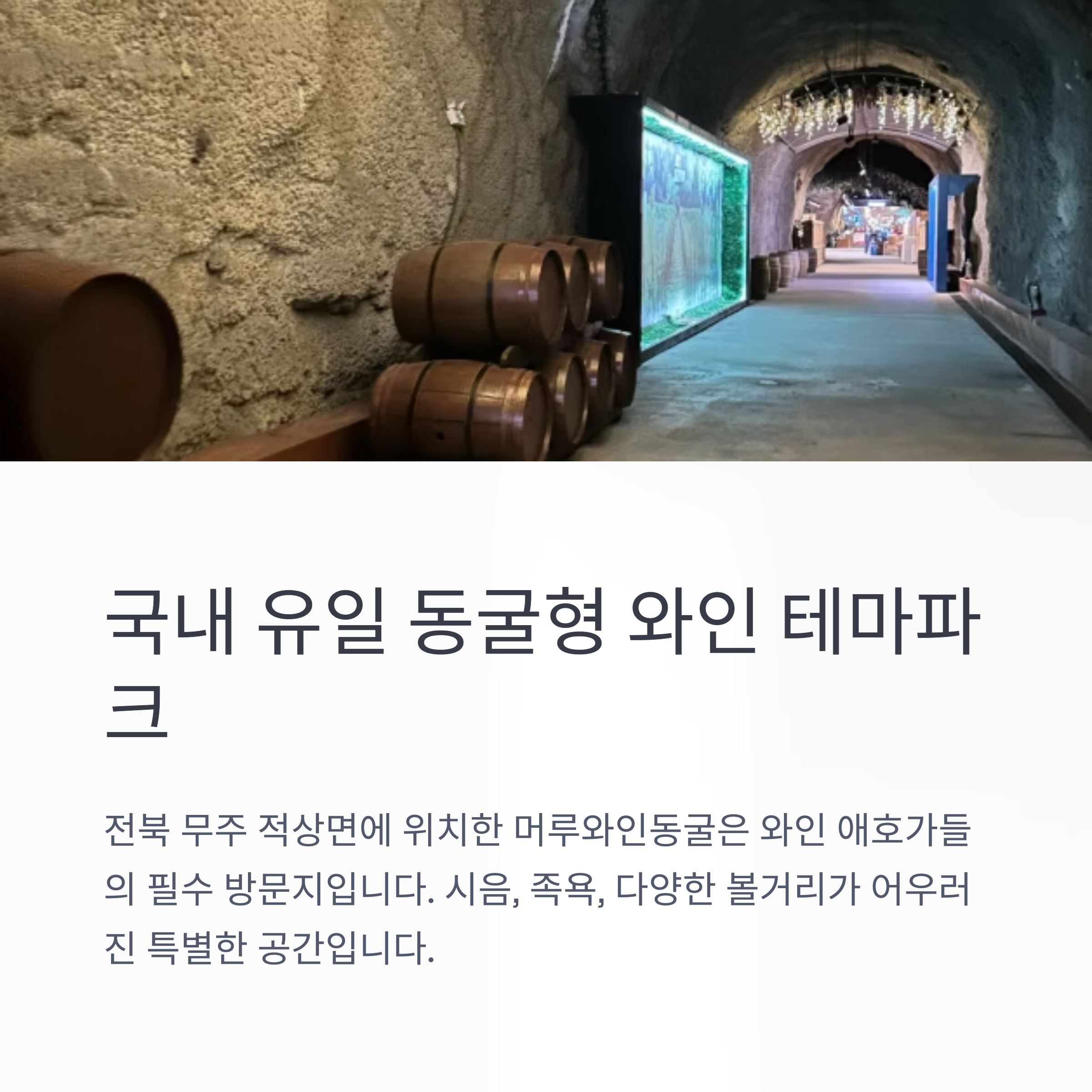 국내 유일 동굴형 와인 테마파크