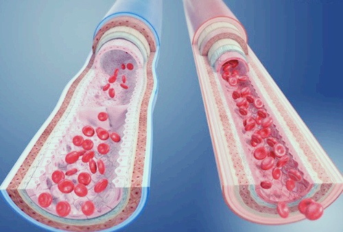 프로폴리스 효능