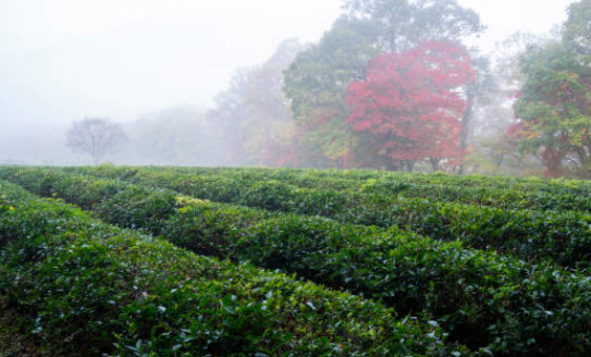 청송-가볼만한곳