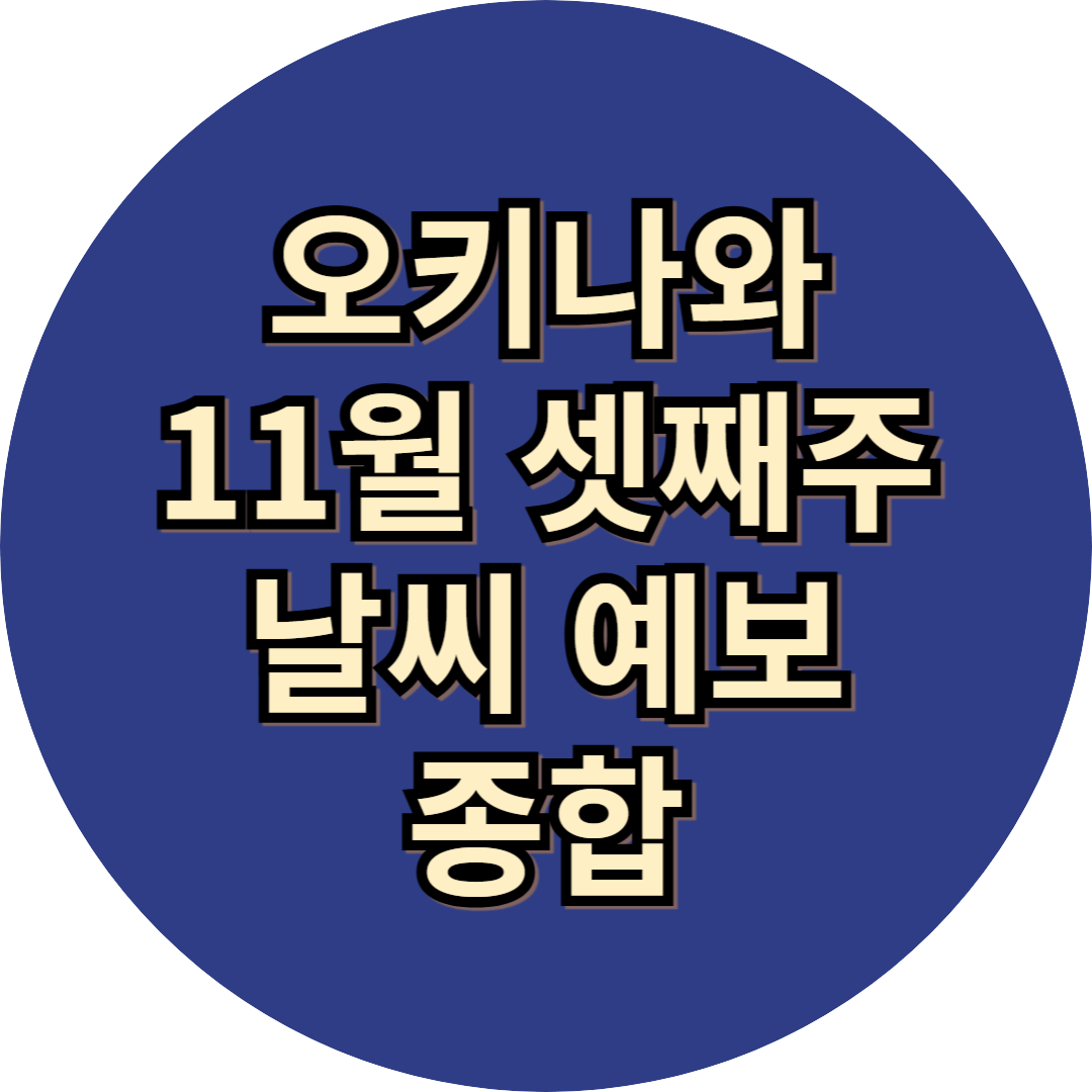일본 오키나와 11월 날씨
