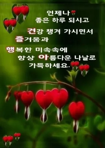아침 인사말 이미지 모음 밝고 따뜻한 하루 인사 문구 정리_16
