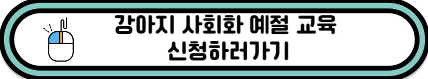 강아지 사회화예절교육 신청 바로가기