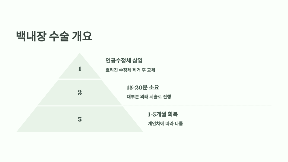 백내장 수술 개요