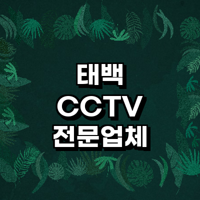 태백시 cctv