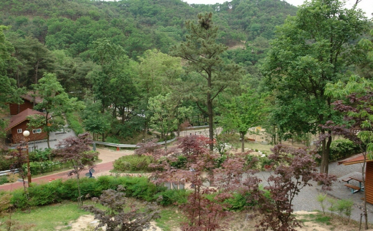 칠곡 송정자연휴양림