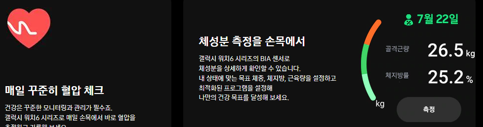갤럭시 워치6 라인업별 모델