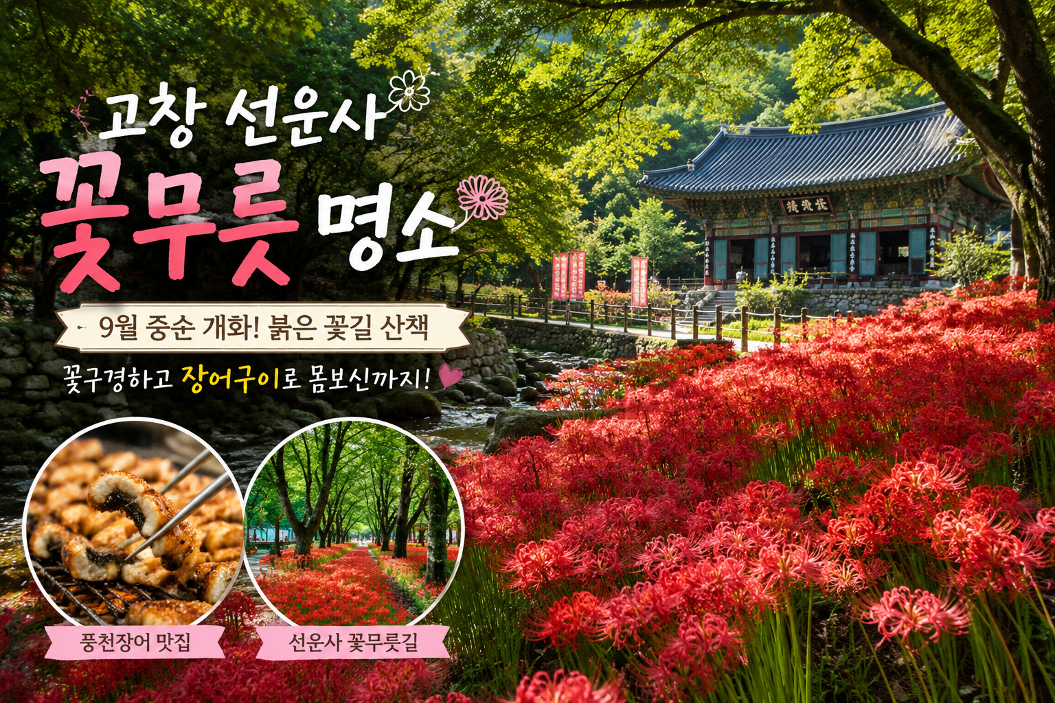 [고창 선운사 꽃무릇] 9월 개화시기&middot;주차｜꽃구경 후 풍천장어로 몸보신