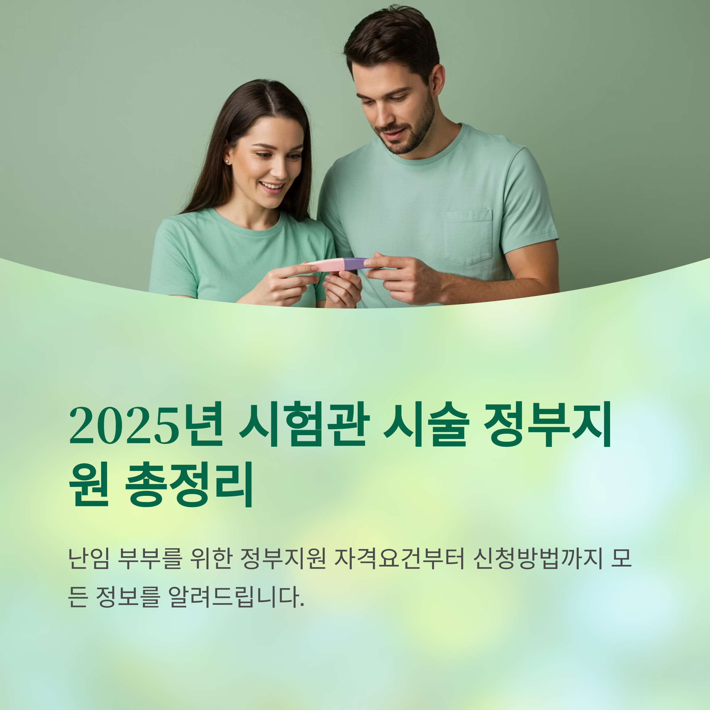 시험관 시술 정부지원 포스터