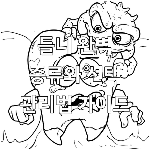 틀니의 모든 것 종류, 선택 기준,