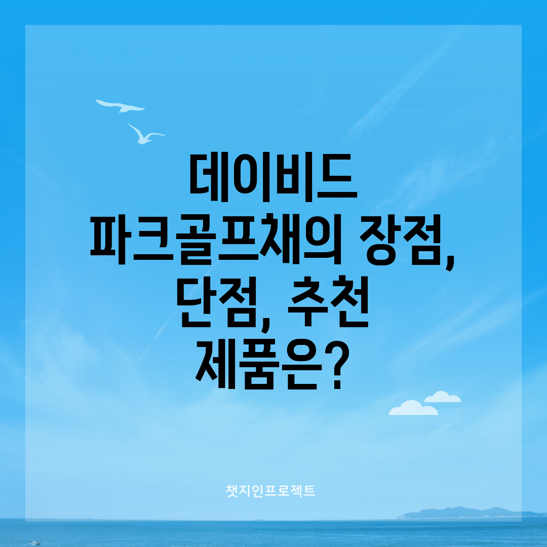 데이비드 파크골프채의 장점, 단점, 추천 제품은