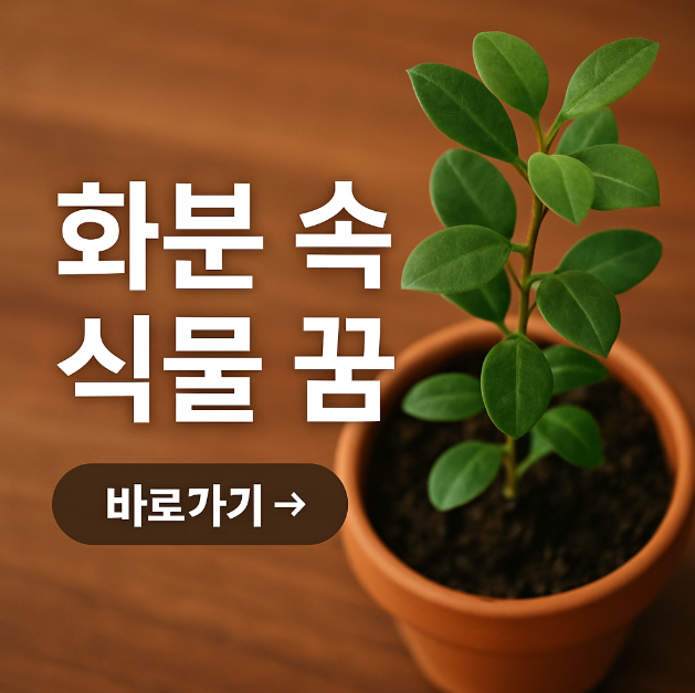 화분 속 식물 꿈