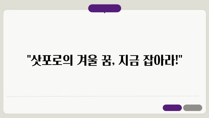 삿포로 눈 축제, 지금 예약 안 하면 끝입니다!