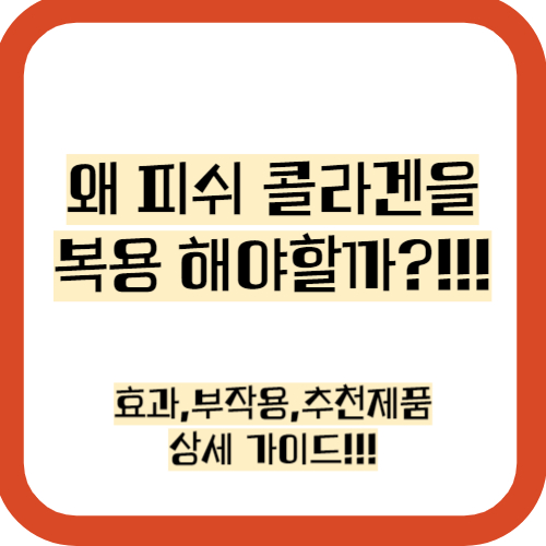 피쉬 콜라겐 효과,부작용,추천제품,비교 분석 총정리