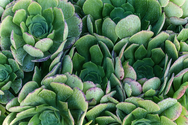 탄소중립포인트 가입 방법