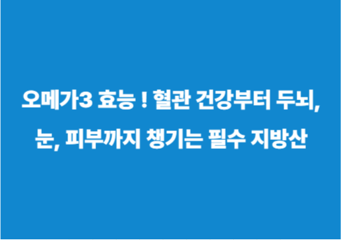 오메가3 효능 ! 혈관 건강부터 두뇌, 눈, 피부까지 챙기는 필수 지방산