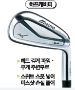 골프 캐비티백 아이언