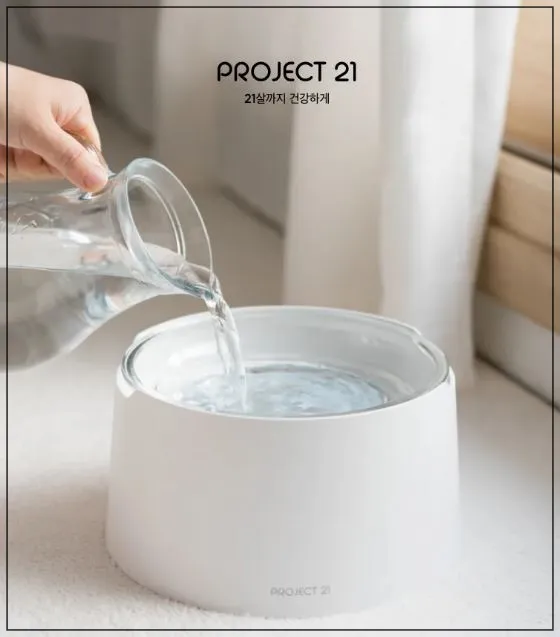 프로젝트21-태평양-수반