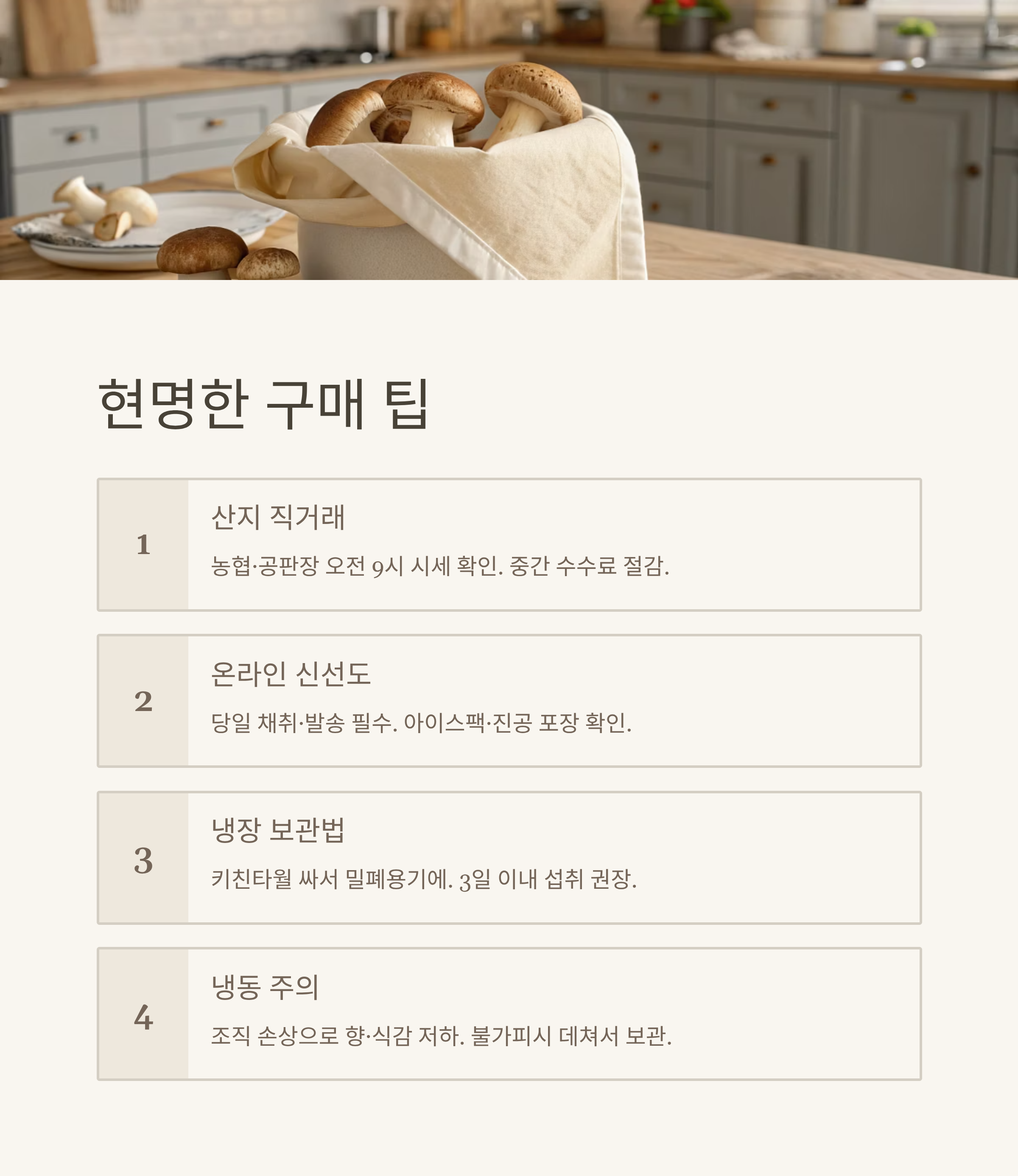 양양 송이버섯 가격 2025 실시간 시세|올해 왜 이렇게 비쌀까? 산지 직송 정보 총정리