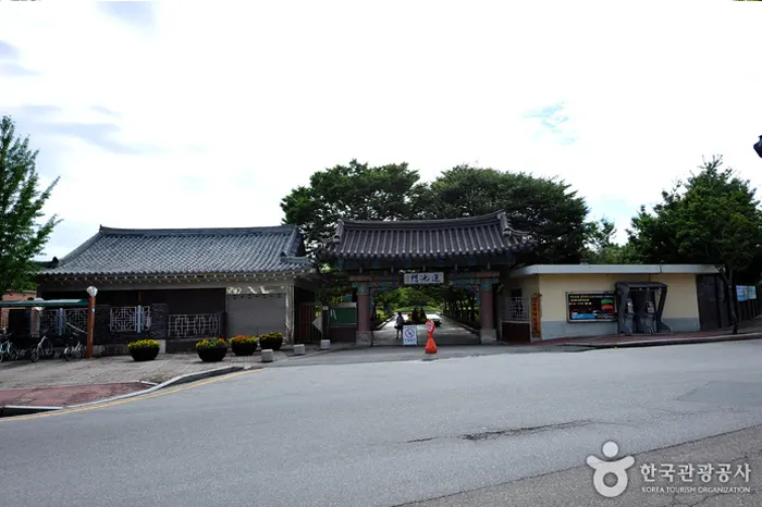 덕진광장 전경 이미지